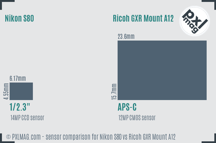 Nikon S80 vs Ricoh GXR Mount A12 sensor size comparison
