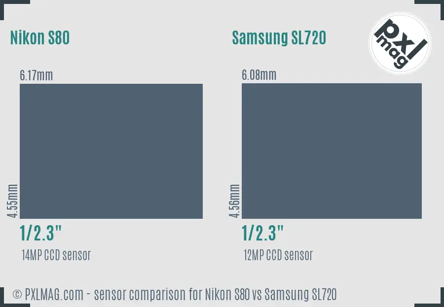 Nikon S80 vs Samsung SL720 sensor size comparison