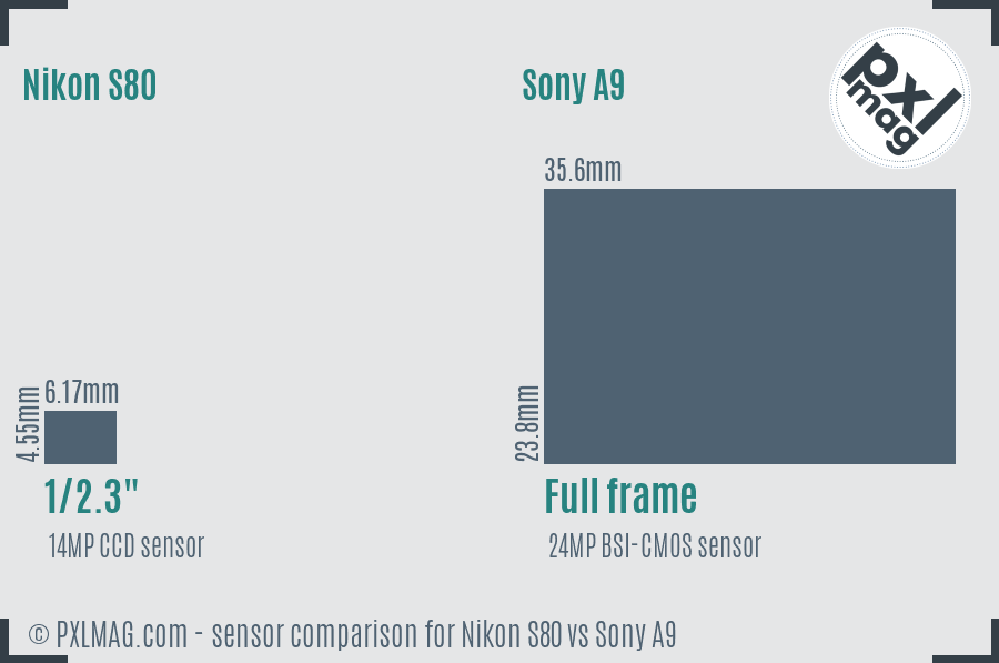 Nikon S80 vs Sony A9 sensor size comparison