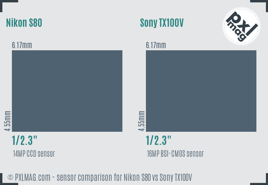 Nikon S80 vs Sony TX100V sensor size comparison