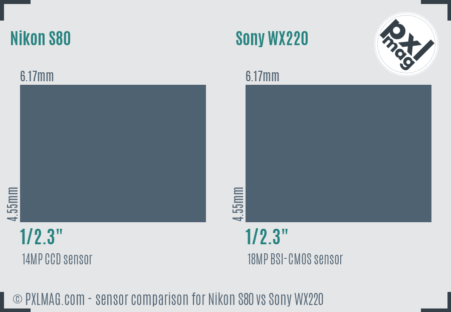Nikon S80 vs Sony WX220 sensor size comparison
