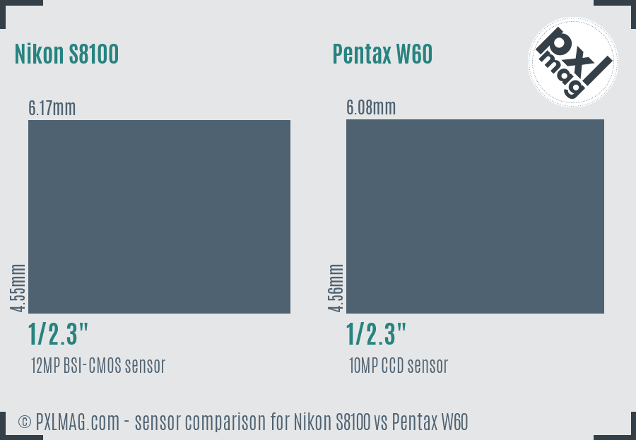 Nikon S8100 vs Pentax W60 sensor size comparison