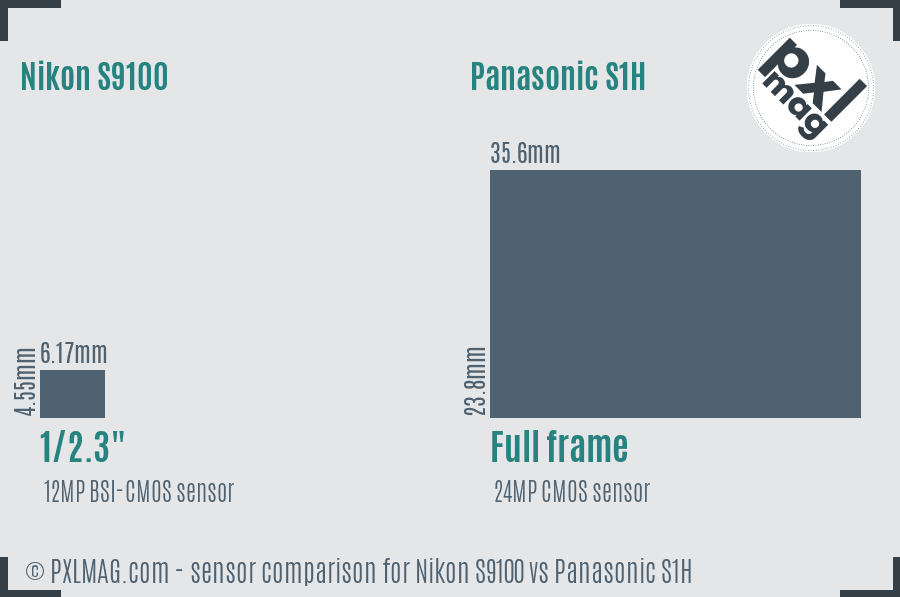 Nikon S9100 vs Panasonic S1H sensor size comparison