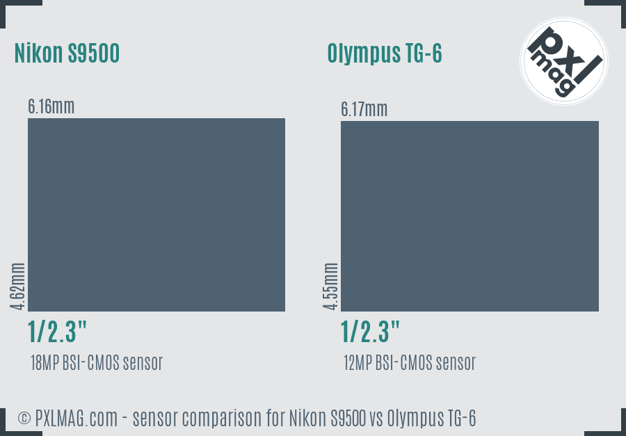 Nikon S9500 vs Olympus TG-6 sensor size comparison