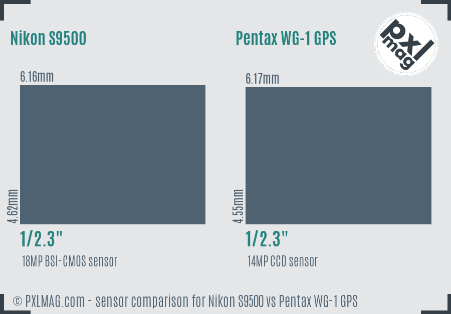 Nikon S9500 vs Pentax WG-1 GPS sensor size comparison