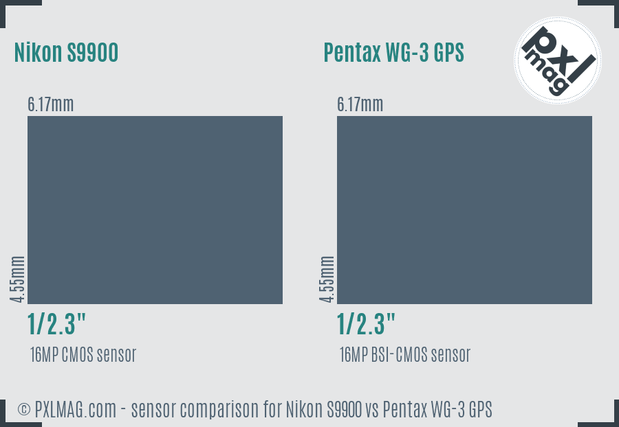 Nikon S9900 vs Pentax WG-3 GPS sensor size comparison