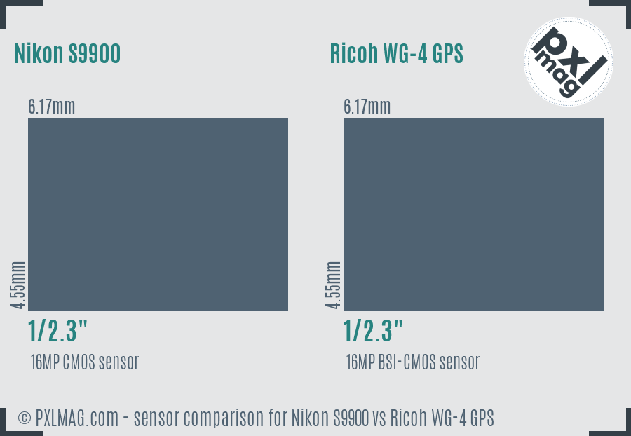 Nikon S9900 vs Ricoh WG-4 GPS sensor size comparison