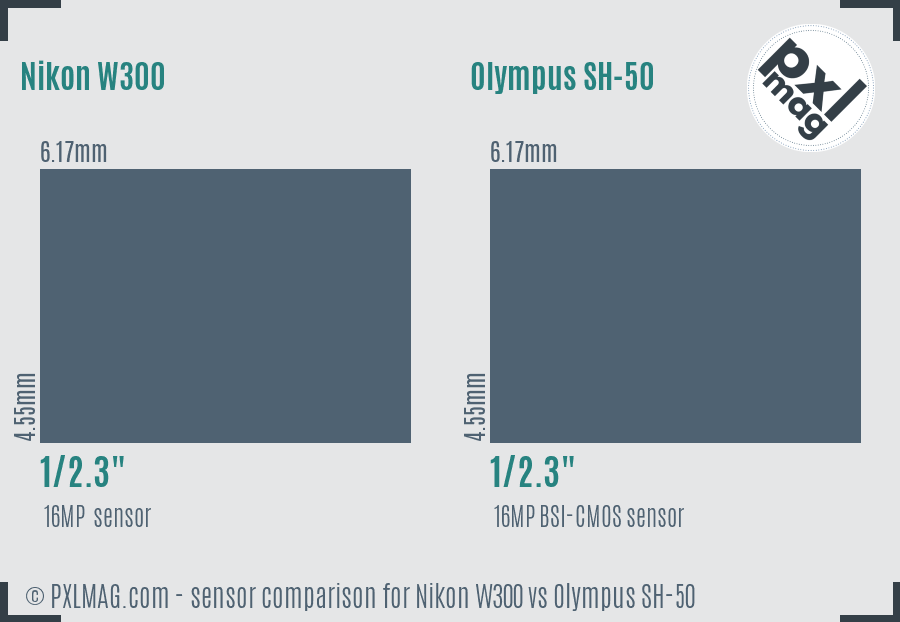 Nikon W300 vs Olympus SH-50 sensor size comparison