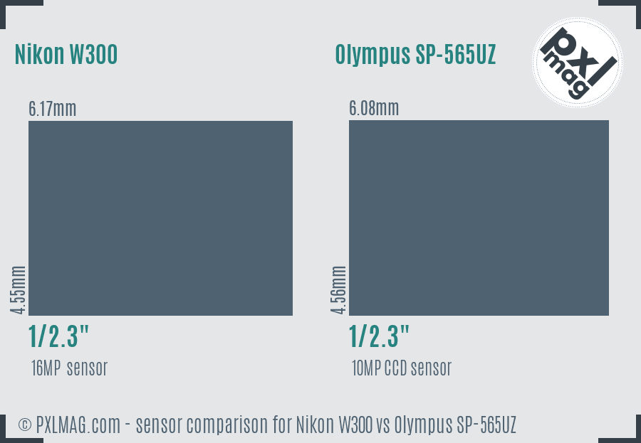Nikon W300 vs Olympus SP-565UZ sensor size comparison