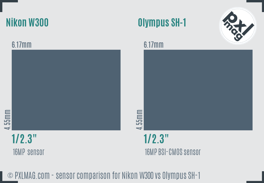 Nikon W300 vs Olympus SH-1 sensor size comparison