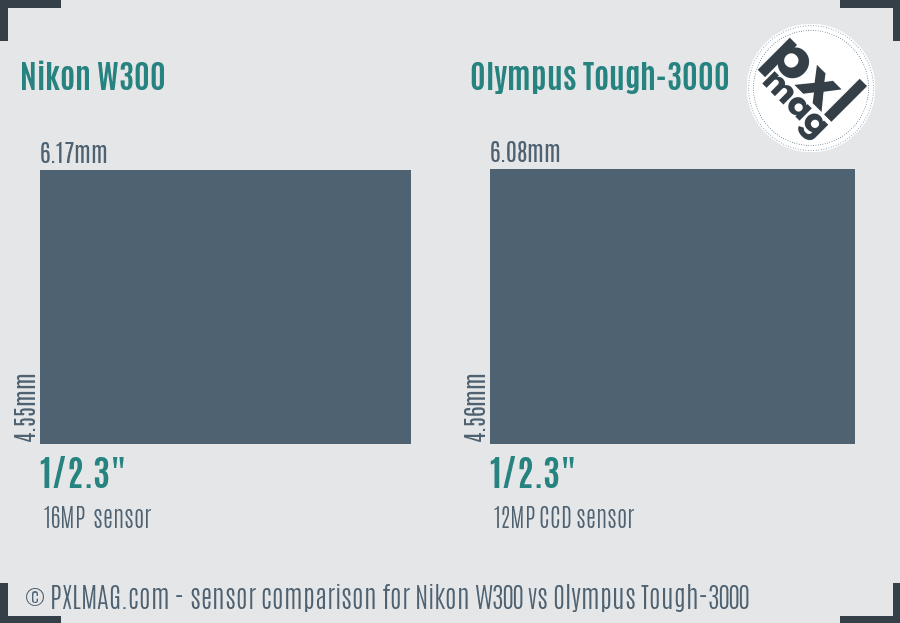 Nikon W300 vs Olympus Tough-3000 sensor size comparison