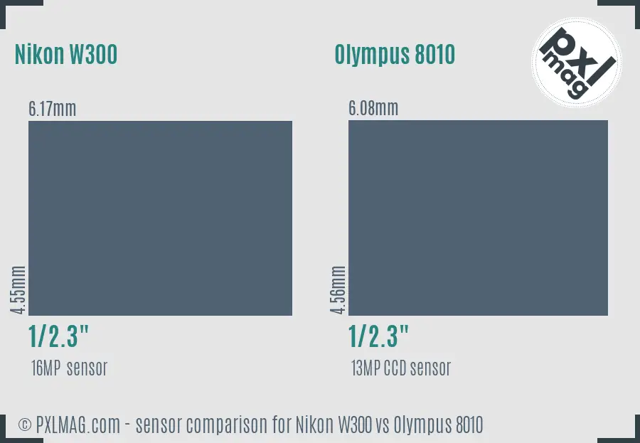 Nikon W300 vs Olympus 8010 sensor size comparison