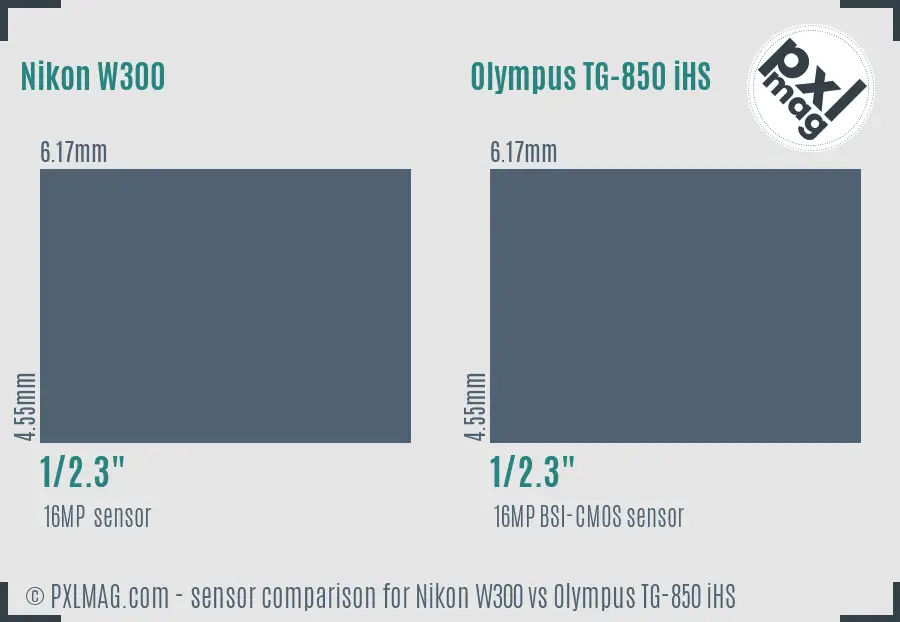 Nikon W300 vs Olympus TG-850 iHS sensor size comparison