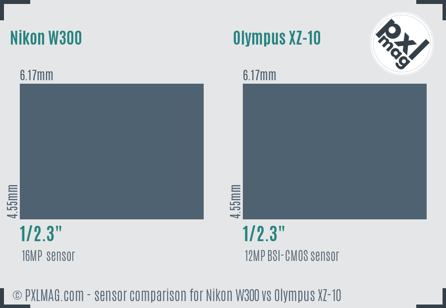 Nikon W300 vs Olympus XZ-10 sensor size comparison