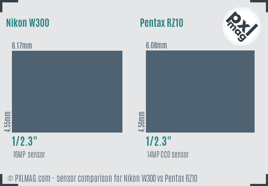 Nikon W300 vs Pentax RZ10 sensor size comparison Nikon W300 vs Pentax RZ10 sensor size comparison
