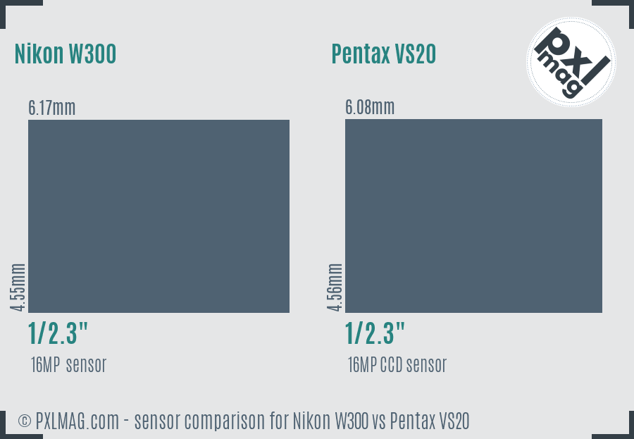 Nikon W300 vs Pentax VS20 sensor size comparison