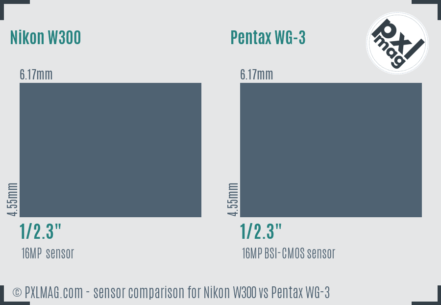 Nikon W300 vs Pentax WG-3 sensor size comparison