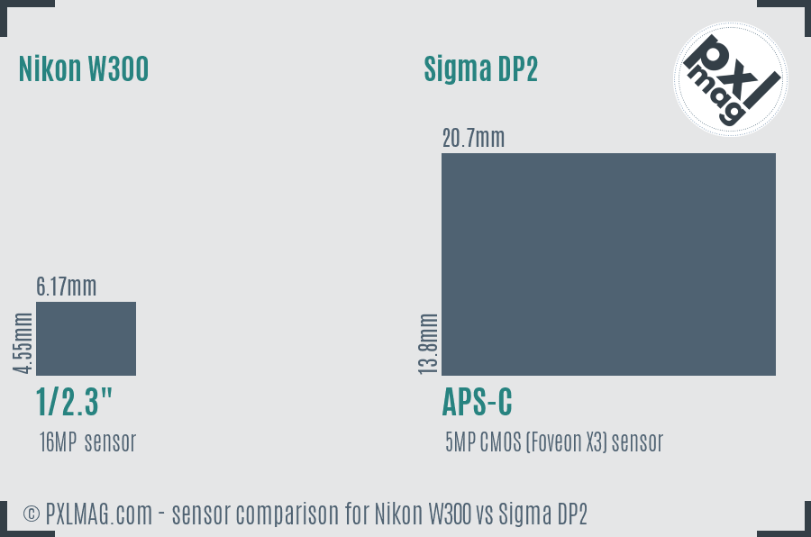 Nikon W300 vs Sigma DP2 sensor size comparison