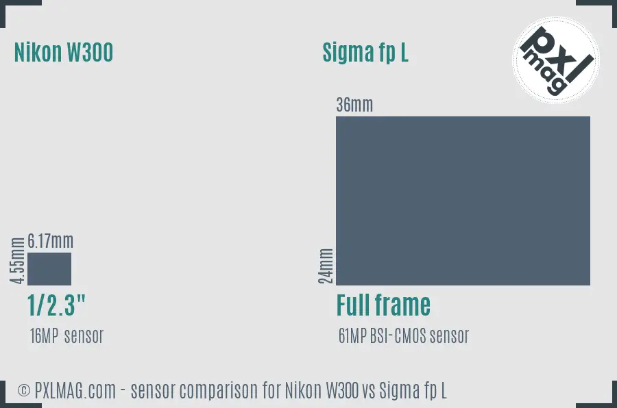 Nikon W300 vs Sigma fp L sensor size comparison