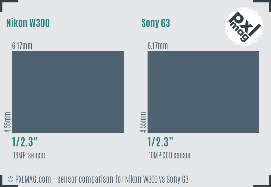 Nikon W300 vs Sony G3 sensor size comparison