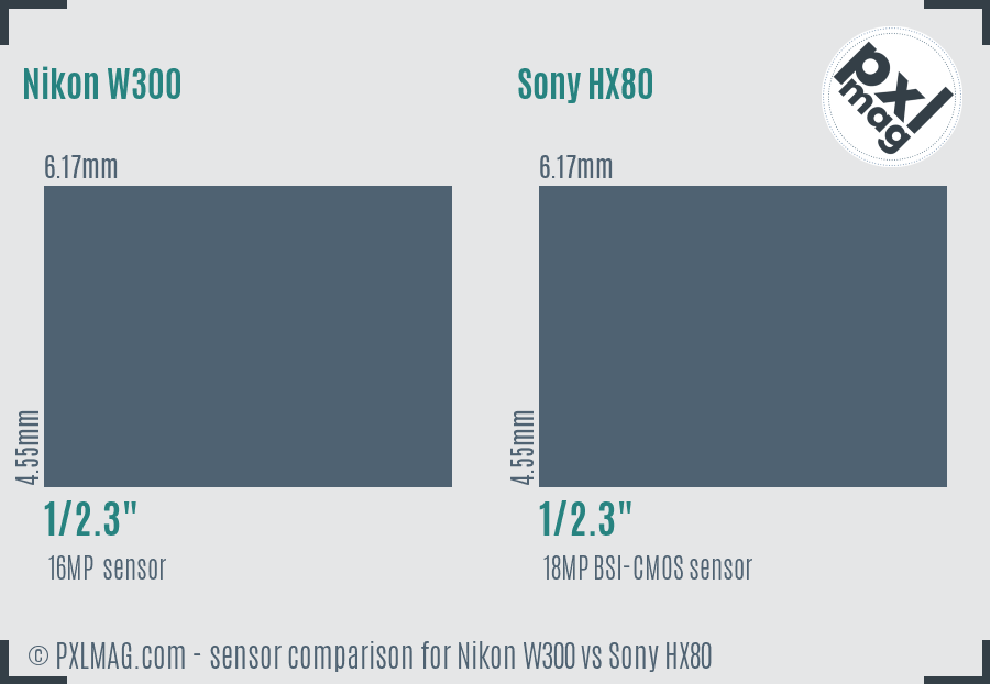 Nikon W300 vs Sony HX80 sensor size comparison