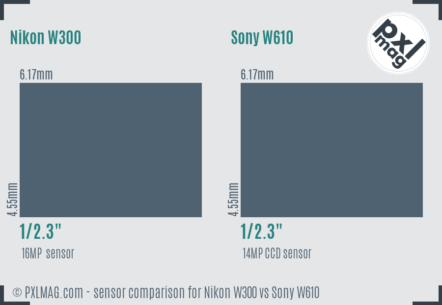 Nikon W300 vs Sony W610 sensor size comparison