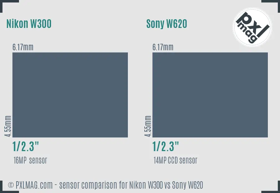 Nikon W300 vs Sony W620 sensor size comparison
