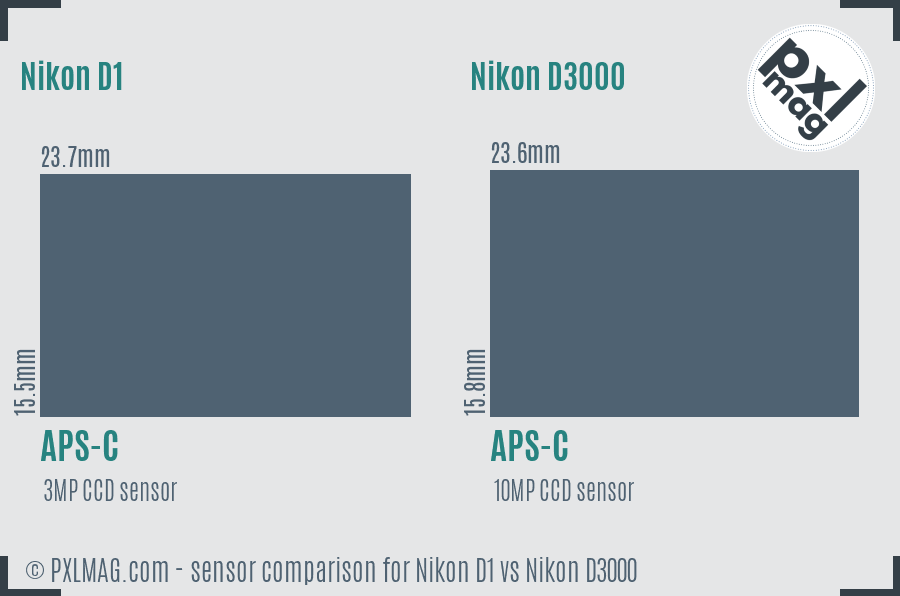 Nikon D1 vs Nikon D3000 sensor size comparison