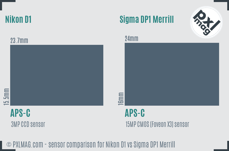 Nikon D1 vs Sigma DP1 Merrill sensor size comparison