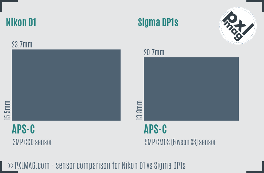 Nikon D1 vs Sigma DP1s sensor size comparison
