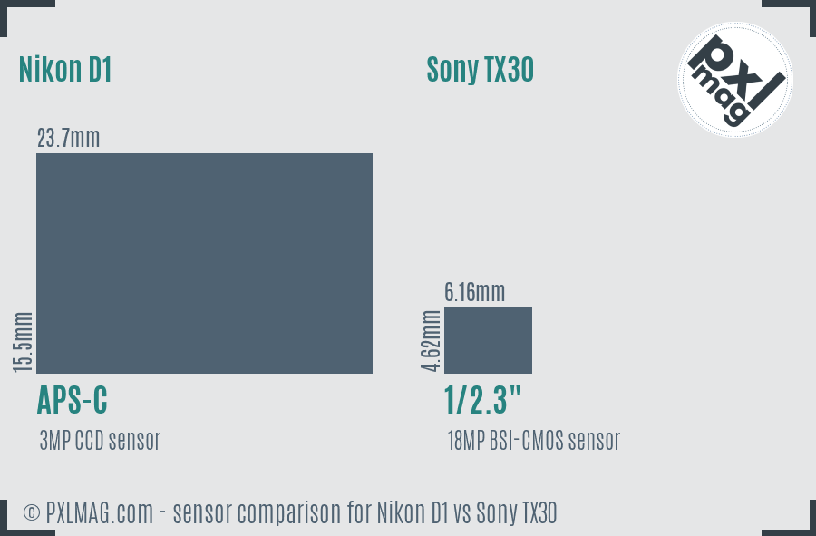 Nikon D1 vs Sony TX30 sensor size comparison