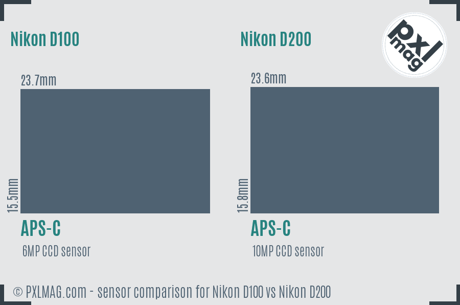 Nikon D100 vs Nikon D200 sensor size comparison