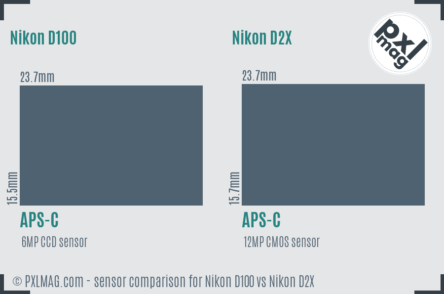 Nikon D100 vs Nikon D2X sensor size comparison Nikon D100 vs Nikon D2X sensor size comparison
