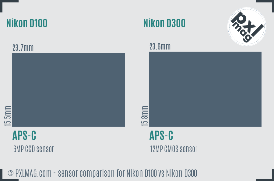 Nikon D100 vs Nikon D300 sensor size comparison