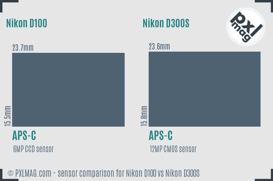 Nikon D100 vs Nikon D300S sensor size comparison