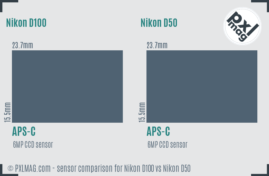 Nikon D100 vs Nikon D50 sensor size comparison