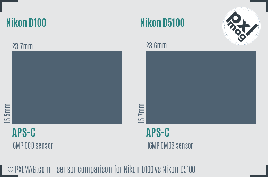Nikon D100 vs Nikon D5100 sensor size comparison