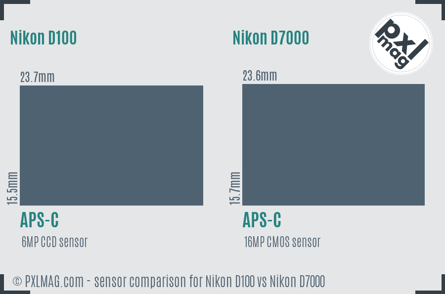 Nikon D100 vs Nikon D7000 sensor size comparison
