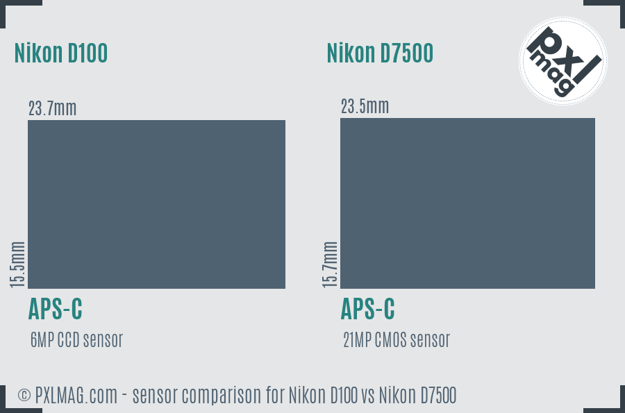 Nikon D100 vs Nikon D7500 sensor size comparison