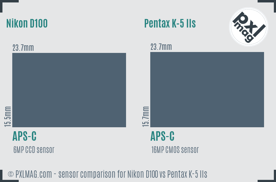 Nikon D100 vs Pentax K-5 IIs sensor size comparison