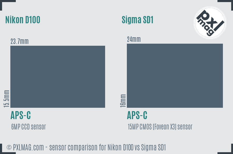 Nikon D100 vs Sigma SD1 sensor size comparison