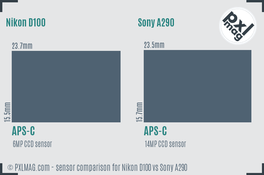 Nikon D100 vs Sony A290 sensor size comparison