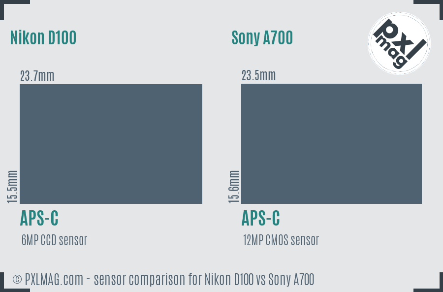 Nikon D100 vs Sony A700 sensor size comparison