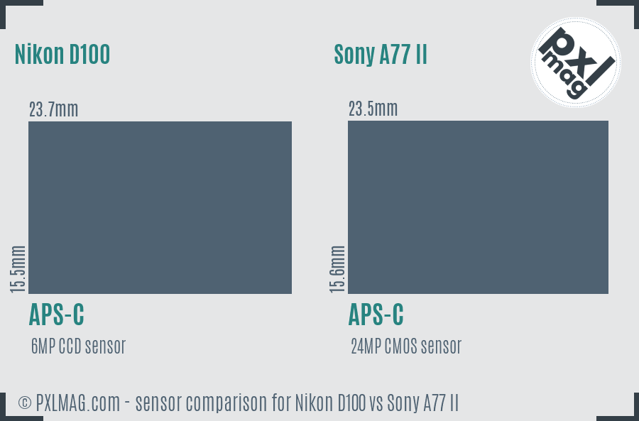 Nikon D100 vs Sony A77 II sensor size comparison