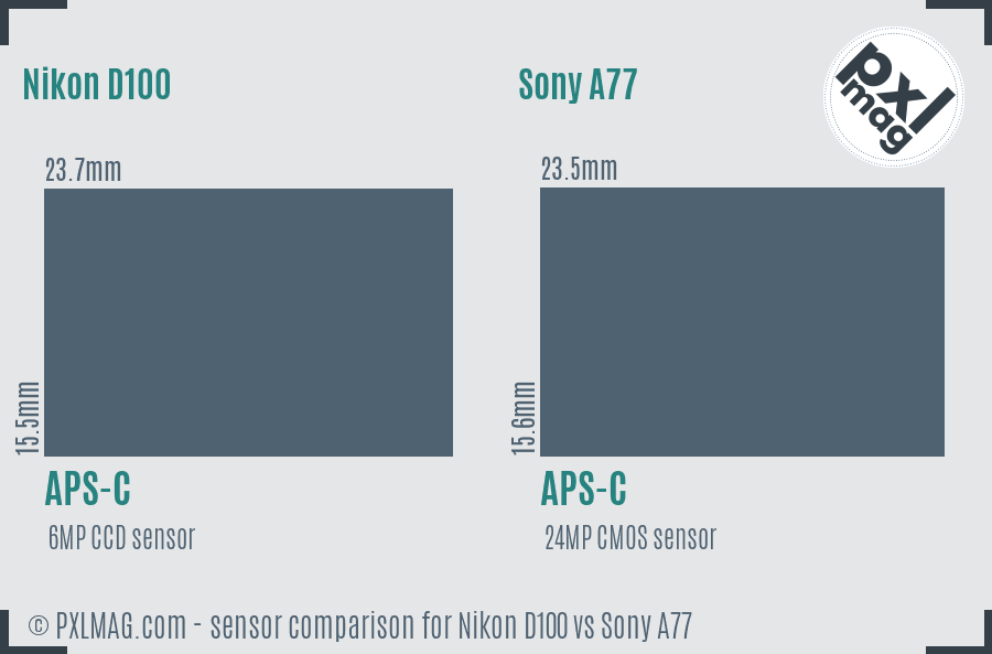 Nikon D100 vs Sony A77 sensor size comparison