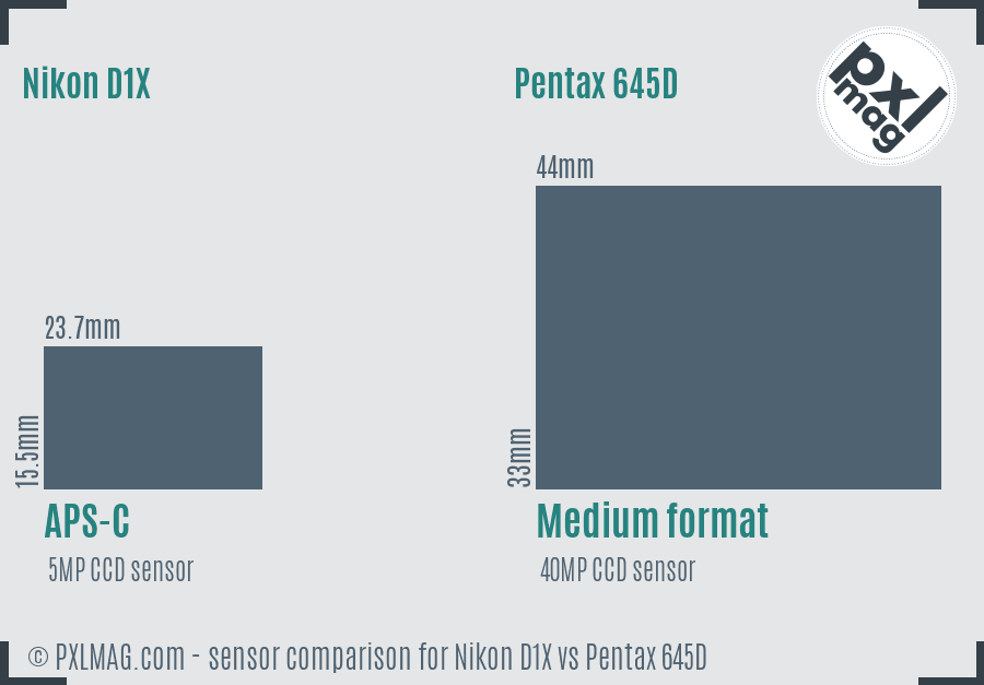 Nikon D1X vs Pentax 645D sensor size comparison