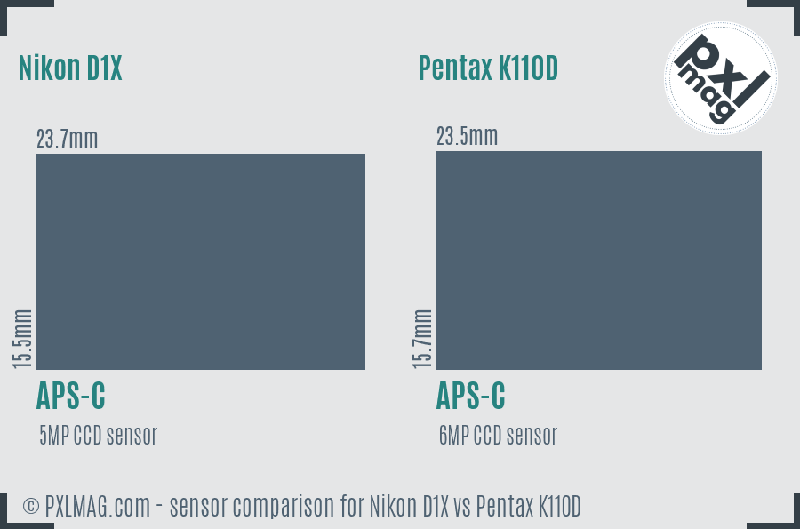 Nikon D1X vs Pentax K110D sensor size comparison