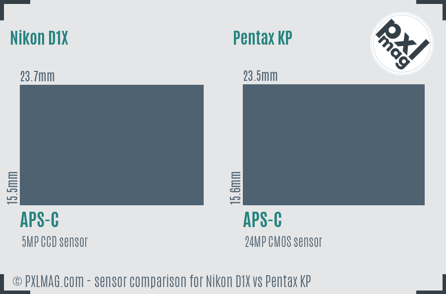 Nikon D1X vs Pentax KP sensor size comparison