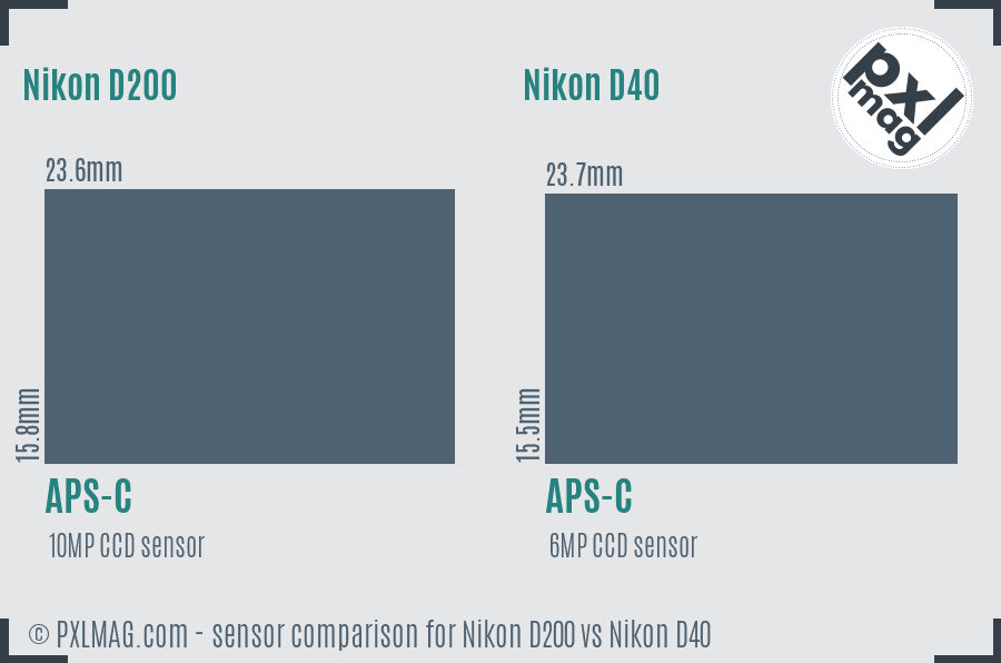 Nikon D200 vs Nikon D40 sensor size comparison Nikon D200 vs Nikon D40 sensor size comparison
