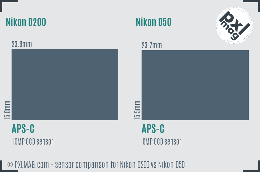 Nikon D200 vs Nikon D50 sensor size comparison